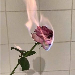 Meet your Posher, Gavin